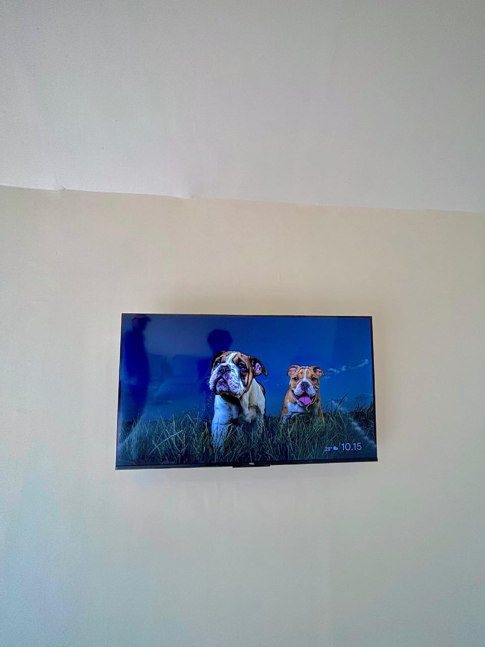 GLAMPING DZ - Image 8