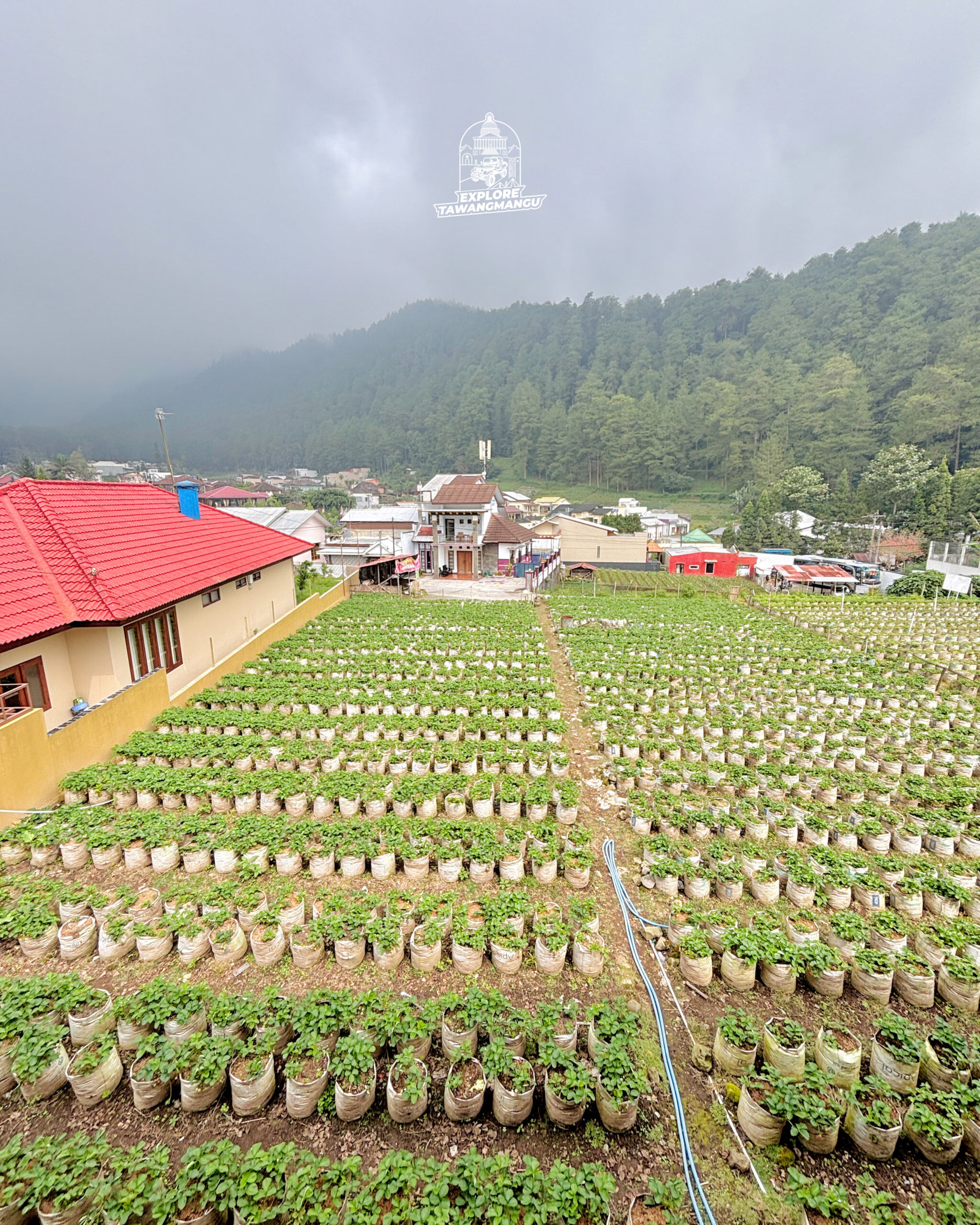 Villa Kayu - Image 2